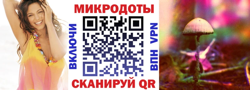 Псилоцибиновые грибы Psilocybine cubensis  Зея 