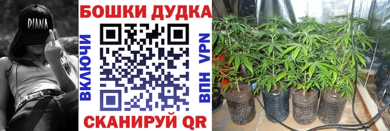 Конопля план  Зея 